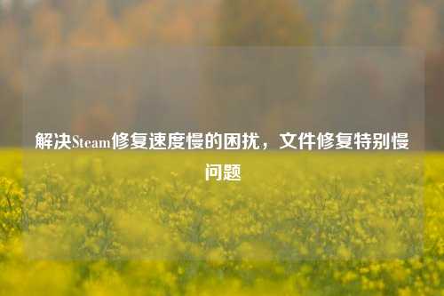 解决Steam修复速度慢的困扰，文件修复特别慢问题
