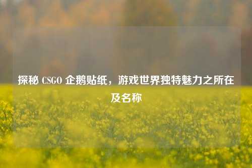 探秘 CSGO 企鹅贴纸,游戏世界独特魅力之所在及名称