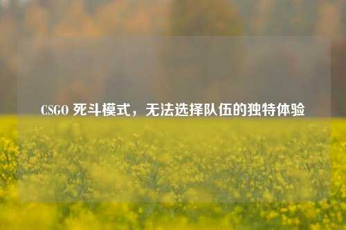 CSGO 死斗模式，无法选择队伍的独特体验