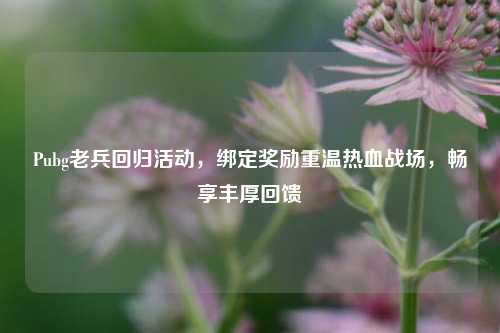 Pubg老兵回归活动，绑定奖励重温热血战场，畅享丰厚回馈