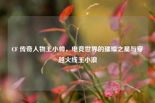 CF 传奇人物王小帅，电竞世界的璀璨之星与穿越火线王小浪