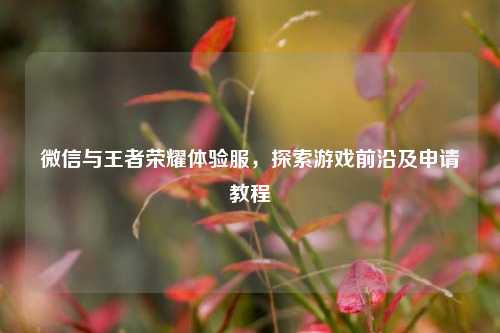 微信与王者荣耀体验服，探索游戏前沿及申请教程