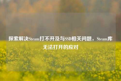 探索解决Steam打不开及与SSD相关问题，Steam库无法打开的应对