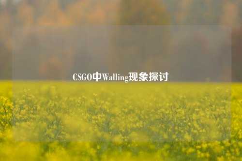 CSGO中Walling现象探讨