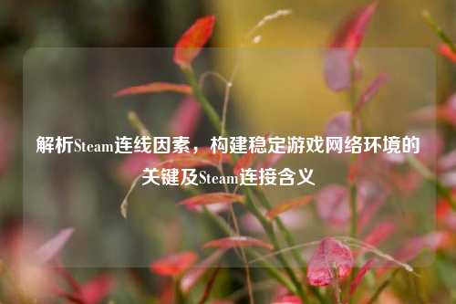 解析Steam连线因素，构建稳定游戏网络环境的关键及Steam连接含义