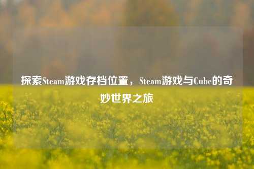 探索Steam游戏存档位置,Steam游戏与Cube的奇妙世界之旅