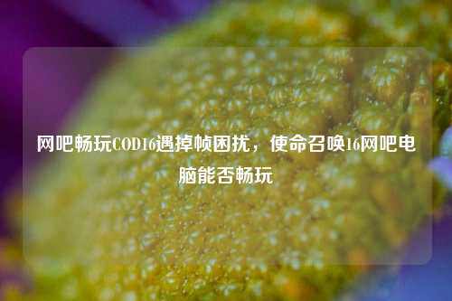 网吧畅玩COD16遇掉帧困扰，使命召唤16网吧电脑能否畅玩