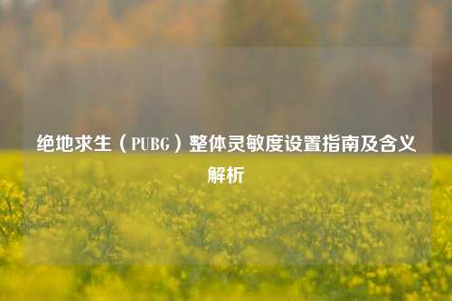 绝地求生（PUBG）整体灵敏度设置指南及含义解析