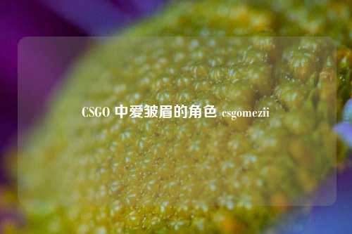 CSGO 中爱皱眉的角色 csgomezii