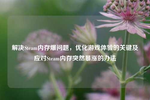 解决Steam内存爆问题,优化游戏体验的关键及应对Steam内存突然暴涨的办法