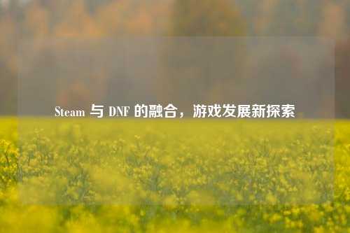Steam 与 DNF 的融合，游戏发展新探索