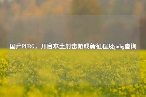 国产PUBG,开启本土射击游戏新征程及pubg查询