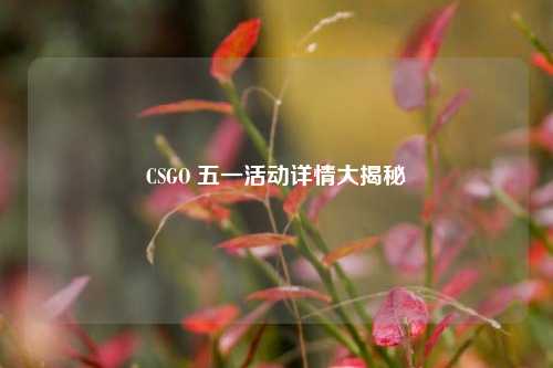 CSGO 五一活动详情大揭秘