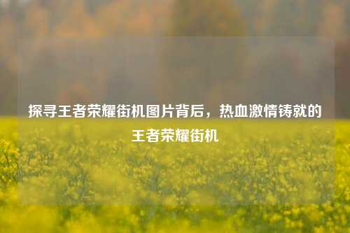 探寻王者荣耀街机图片背后,热血激情铸就的王者荣耀街机
