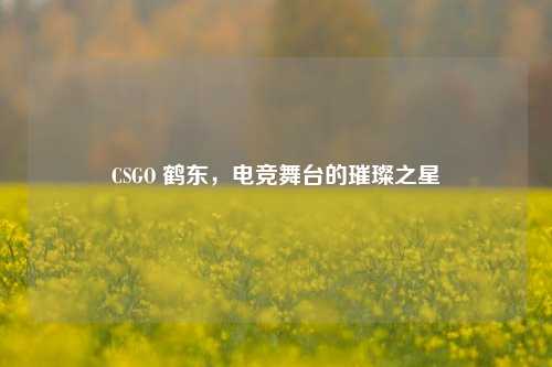 CSGO 鹤东,电竞舞台的璀璨之星