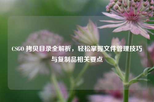 CSGO 拷贝目录全解析，轻松掌握文件管理技巧与复制品相关要点