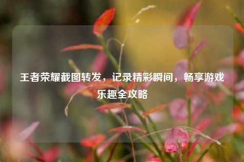 王者荣耀截图转发,记录精彩瞬间,畅享游戏乐趣全攻略