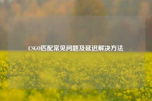 CSGO匹配常见问题及延迟解决方法