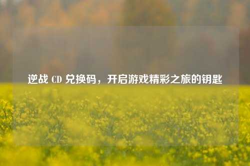 逆战 CD 兑换码,开启游戏精彩之旅的钥匙