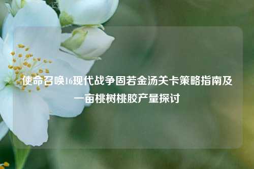 使命召唤16现代战争固若金汤关卡策略指南及一亩桃树桃胶产量探讨