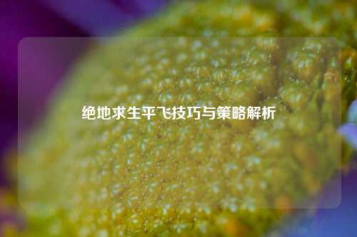 绝地求生平飞技巧与策略解析