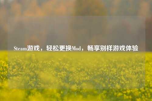 Steam游戏,轻松更换Mod,畅享别样游戏体验