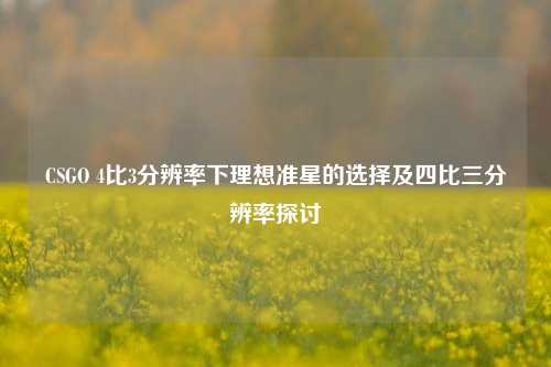 CSGO 4比3分辨率下理想准星的选择及四比三分辨率探讨
