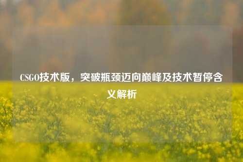 CSGO技术版,突破瓶颈迈向巅峰及技术暂停含义解析