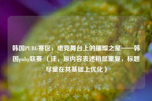 韩国PUBG赛区,电竞舞台上的璀璨之星——韩国pubg联赛 (注,原内容表述稍显重复,标题尽量在其基础上优化)