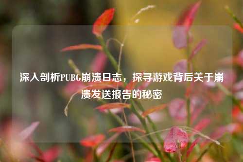 深入剖析PUBG崩溃日志，探寻游戏背后关于崩溃发送报告的秘密