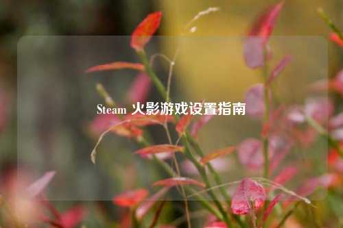 Steam 火影游戏设置指南