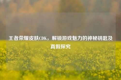 王者荣耀皮肤CDK,解锁游戏魅力的神秘钥匙及真假探究