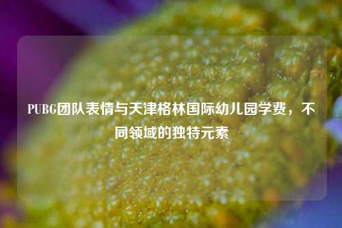 PUBG团队表情与天津格林国际幼儿园学费，不同领域的独特元素
