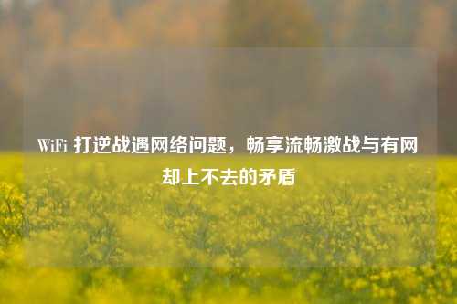 WiFi 打逆战遇网络问题,畅享流畅激战与有网却上不去的矛盾