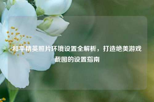 和平精英照片环境设置全解析，打造绝美游戏截图的设置指南