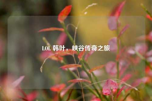 LOL 韩叶,峡谷传奇之旅