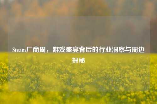 Steam厂商周,游戏盛宴背后的行业洞察与周边探秘