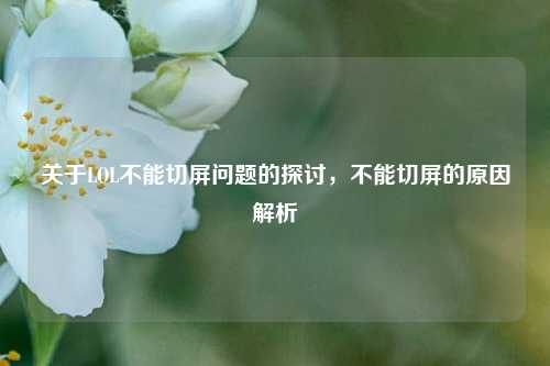 关于LOL不能切屏问题的探讨，不能切屏的原因解析