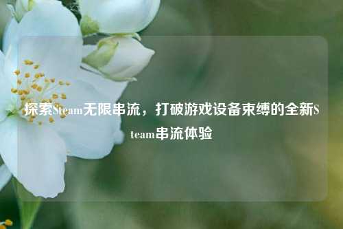 探索Steam无限串流,打破游戏设备束缚的全新Steam串流体验
