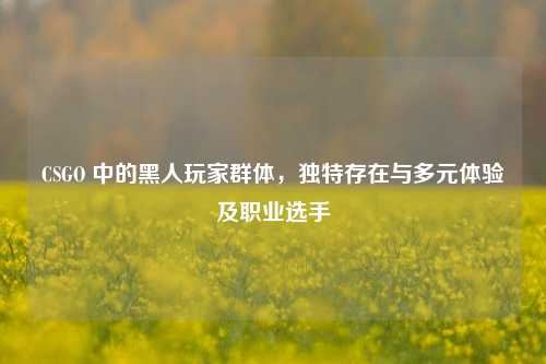 CSGO 中的黑人玩家群体,独特存在与多元体验及职业选手