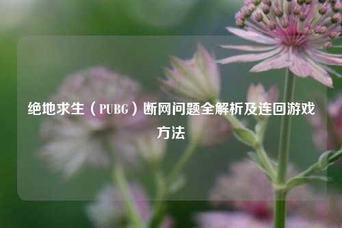 绝地求生(PUBG)断网问题全解析及连回游戏方法