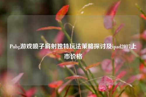 Pubg游戏喷子肩射独特玩法策略探讨及ipad2017上市价格