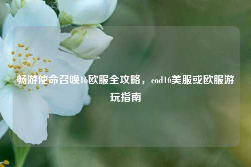 畅游使命召唤16欧服全攻略，cod16美服或欧服游玩指南