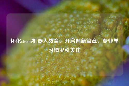 怀化steam机器人教育,开启创新篇章,专业学习情况引关注