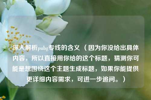 深入解析pubg专线的含义 （因为你没给出具体内容，所以直接用你给的这个标题，猜测你可能是想围绕这个主题生成标题，如果你能提供更详细内容需求，可进一步追问。）