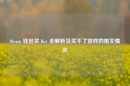 Steam 钱包买 Key 全解析及买不了游戏的相关情况
