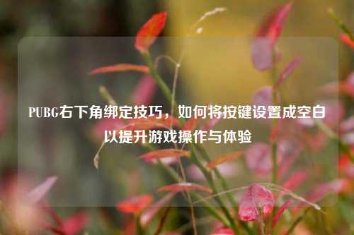 PUBG右下角绑定技巧,如何将按键设置成空白以提升游戏操作与体验