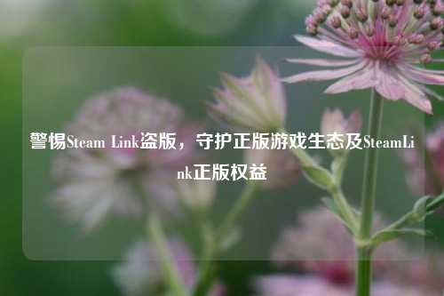 警惕Steam Link盗版，守护正版游戏生态及SteamLink正版权益