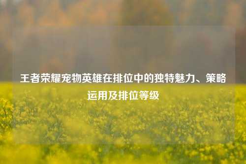 王者荣耀宠物英雄在排位中的独特魅力、策略运用及排位等级