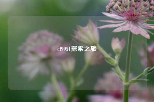 cf9951探索之旅